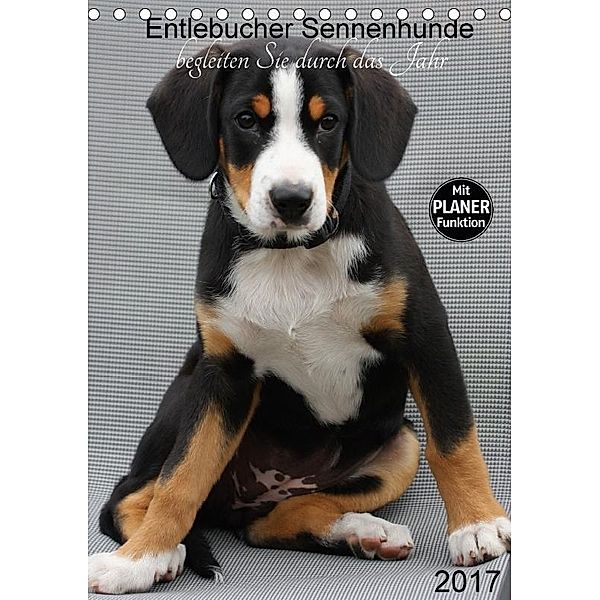 Entlebucher Sennenhunde begleiten Sie durch das Jahr (Tischkalender 2017 DIN A5 hoch), SchnelleWelten