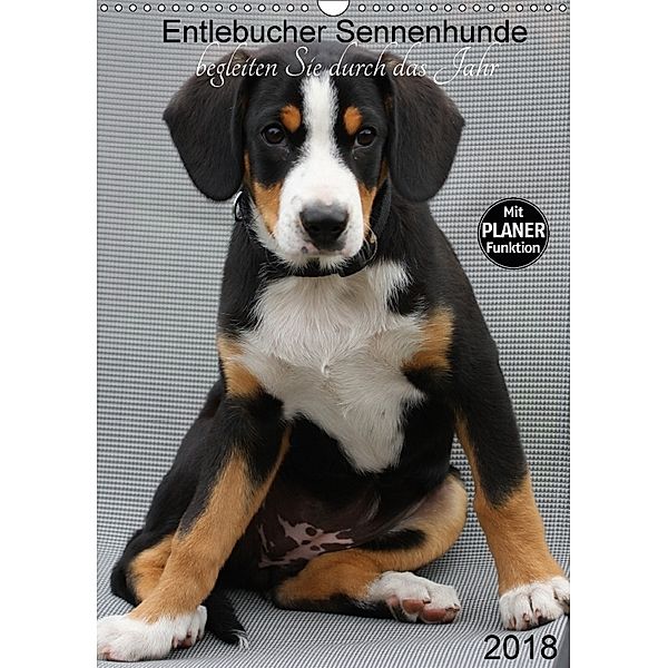 Entlebucher Sennenhunde begleiten Sie durch das Jahr (Wandkalender 2018 DIN A3 hoch), SchnelleWelten