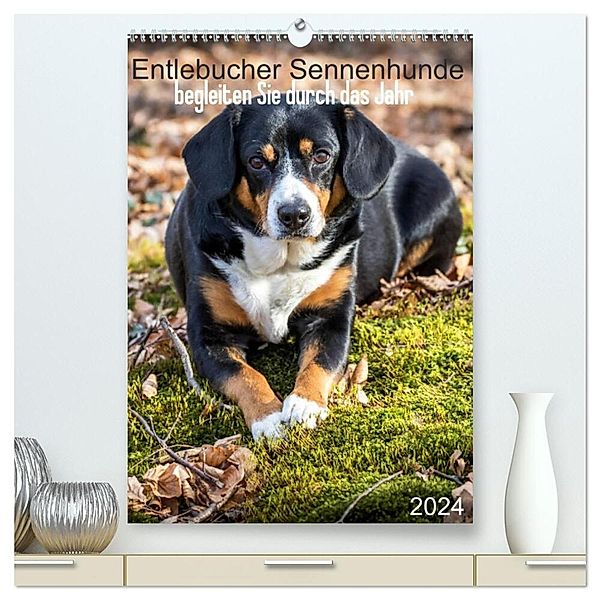 Entlebucher Sennenhunde begleiten Sie durch das Jahr (hochwertiger Premium Wandkalender 2024 DIN A2 hoch), Kunstdruck in Hochglanz, Schnellewelten