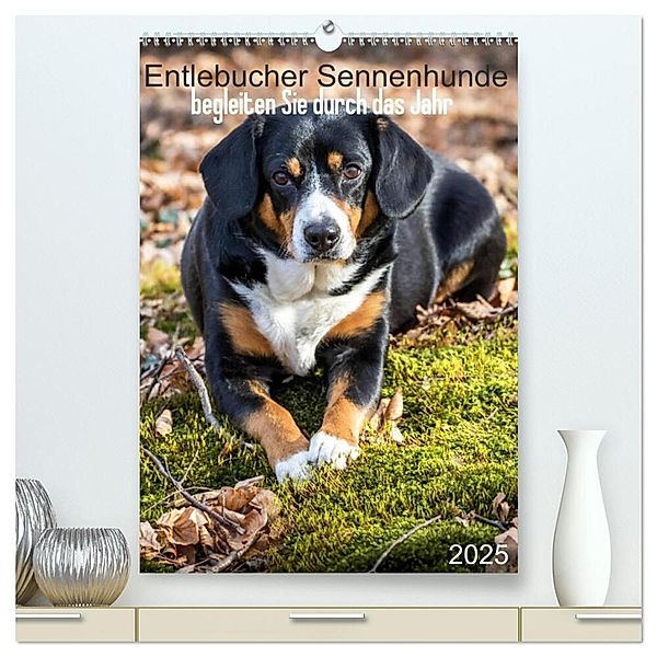 Entlebucher Sennenhunde begleiten Sie durch das Jahr (hochwertiger Premium Wandkalender 2025 DIN A2 hoch), Kunstdruck in Hochglanz, Calvendo, Schnellewelten