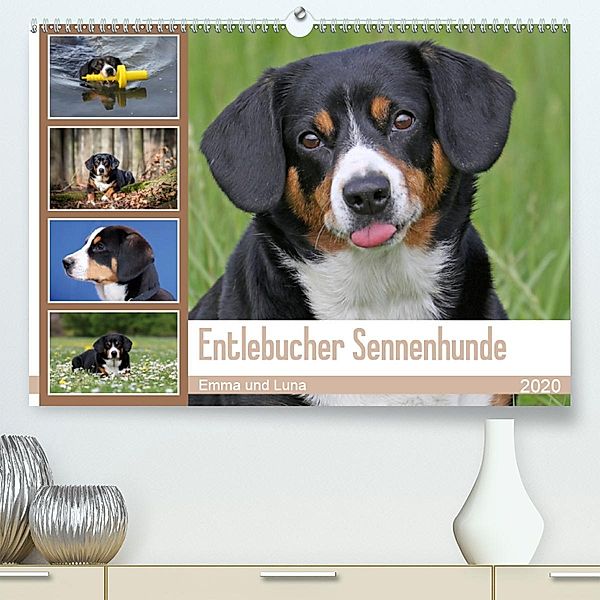 Entlebucher Sennenhunde Emma und Luna (Premium-Kalender 2020 DIN A2 quer)