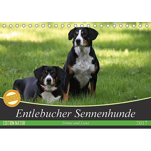 Entlebucher Sennenhunde Emma und Luna (Tischkalender 2017 DIN A5 quer), SchnelleWelten