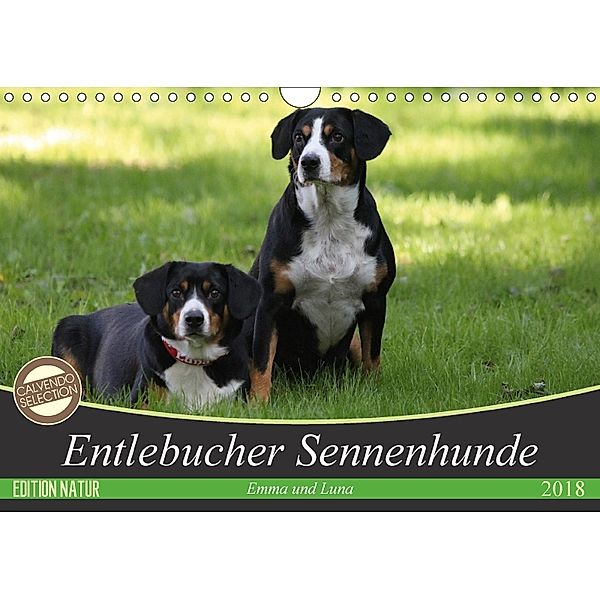 Entlebucher Sennenhunde Emma und Luna (Wandkalender 2018 DIN A4 quer) Dieser erfolgreiche Kalender wurde dieses Jahr mit, SchnelleWelten