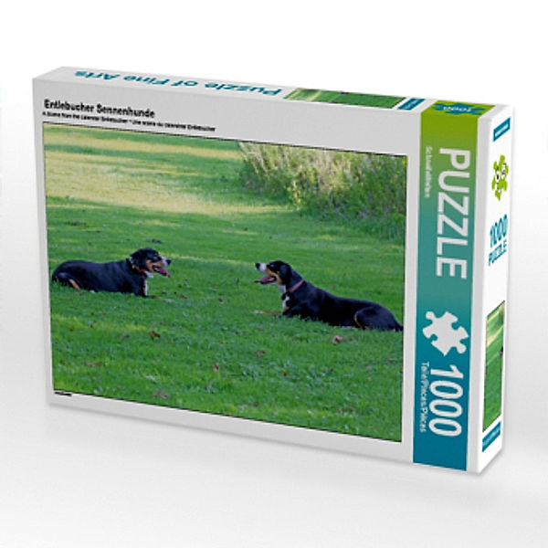 Entlebucher Sennenhunde (Puzzle), SchnelleWelten