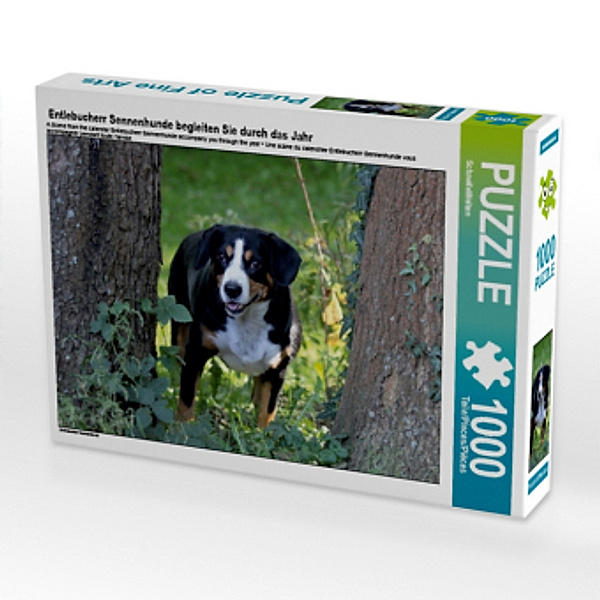 Entlebucherr Sennenhunde begleiten Sie durch das Jahr (Puzzle), SchnelleWelten