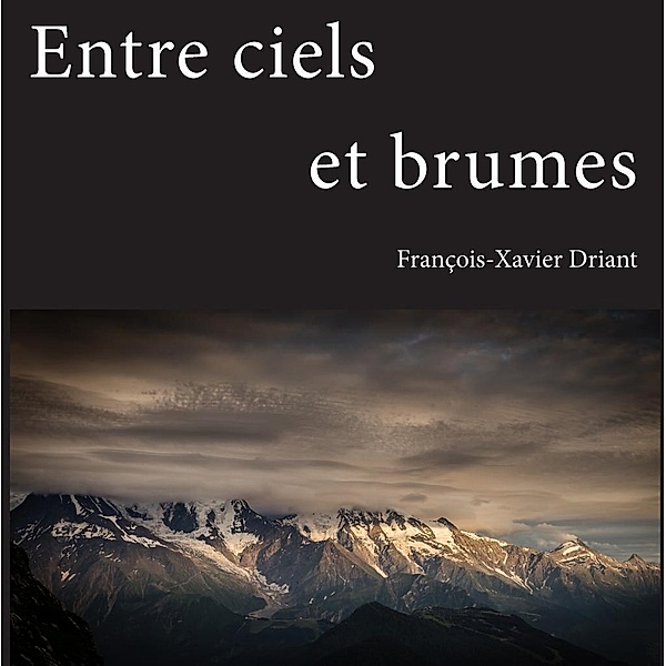 Entre ciels et brumes, François-Xavier Driant
