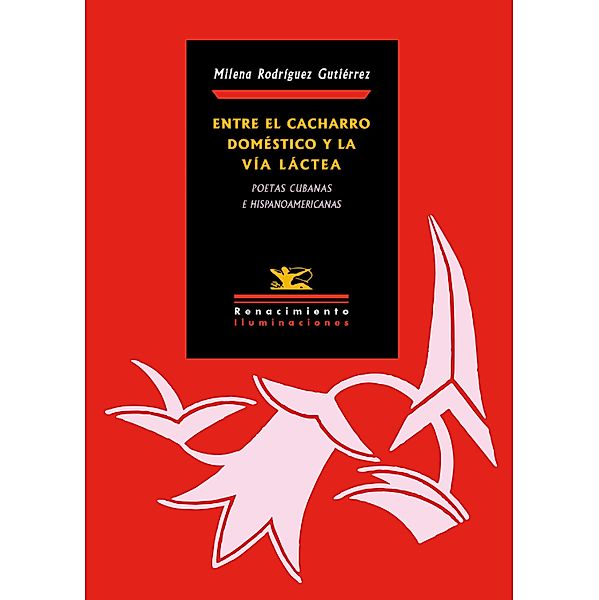 Entre el cacharro doméstico y la Vía Láctea / Iluminaciones, Milena Rodríguez