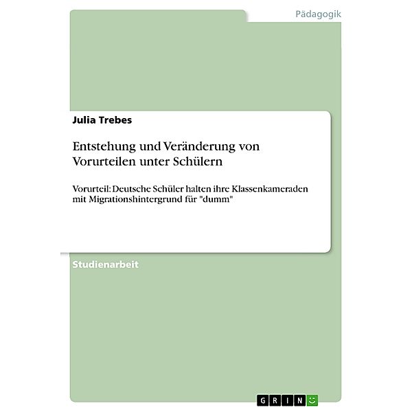 Entstehung und Veränderung von Vorurteilen im Bereich der Schulsozialpädagogik, Julia Trebes