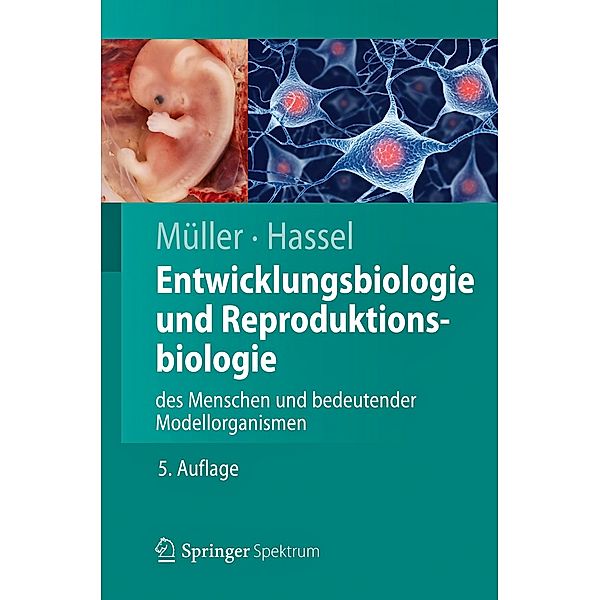 Entwicklungsbiologie und Reproduktionsbiologie des Menschen und bedeutender Modellorganismen, Werner A. Müller, Monika Hassel