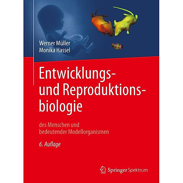 Entwicklungsbiologie und Reproduktionsbiologie des Menschen und bedeutender Modellorganismen, Werner A. Müller, Monika Hassel