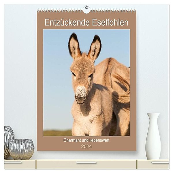 Entzückende Esel - Charmant und liebenswert (hochwertiger Premium Wandkalender 2024 DIN A2 hoch), Kunstdruck in Hochglanz, Meike Bölts