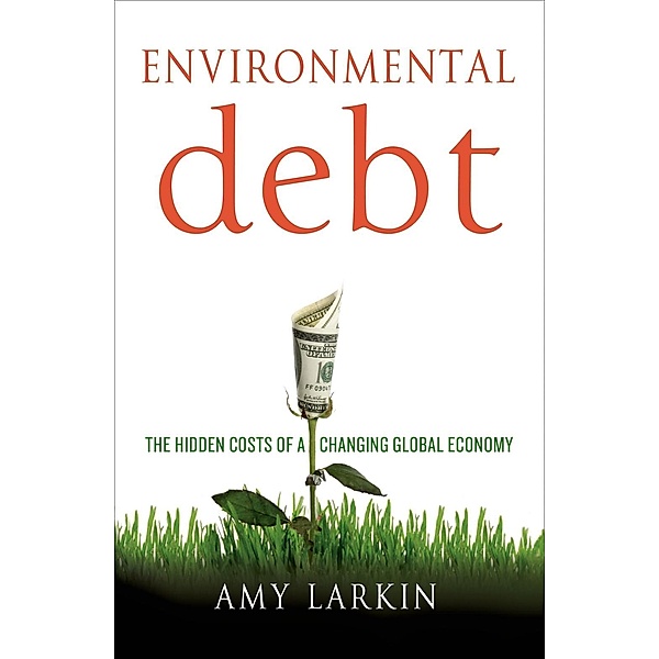 Environmental Debt, Amy Larkin