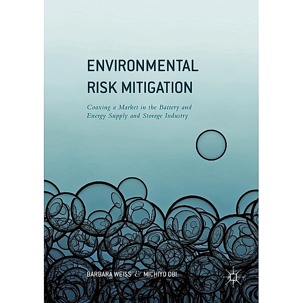 Environmental Risk Mitigation / Progress in Mathematics, Barbara Weiss, Michiyo Obi
