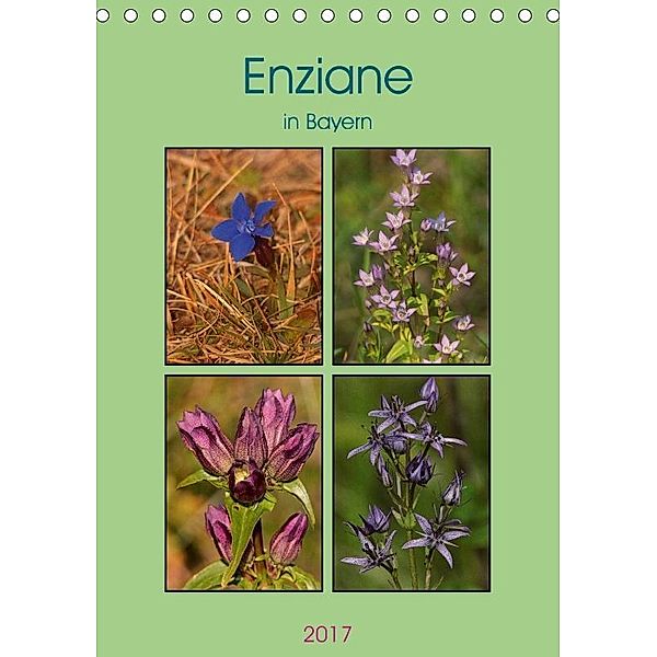 Enziane in Bayern (Tischkalender 2017 DIN A5 hoch), Winfried Erlwein