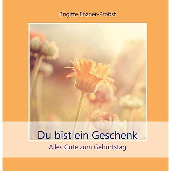 Enzner-Probst, B: Du bist ein Geschenk, Brigitte Enzner-Probst