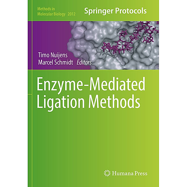 Enzyme-Mediated Ligation Methods