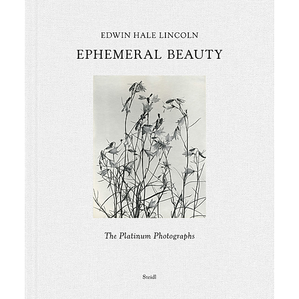 Ephemeral Beauty, Edwin Hale Lincoln