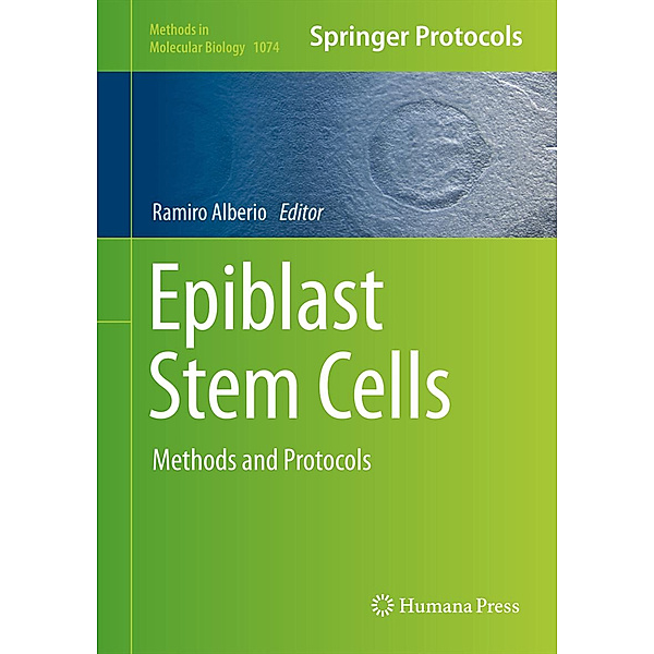 Epiblast Stem Cells