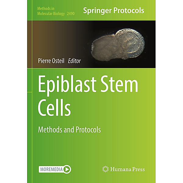 Epiblast Stem Cells