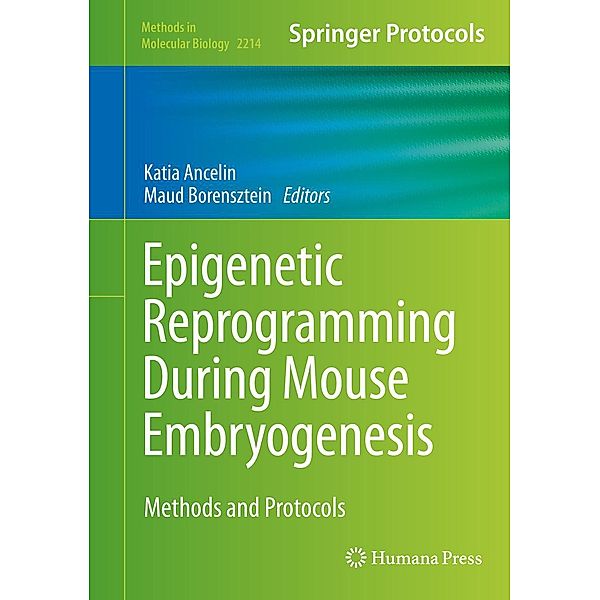 Epigenetic Reprogramming During Mouse Embryogenesis / Methods in Molecular Biology Bd.2214