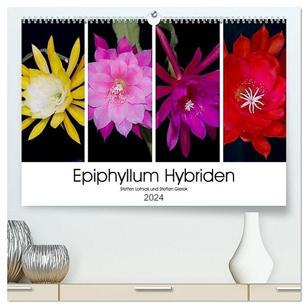 Epiphyllum-Hybriden (hochwertiger Premium Wandkalender 2024 DIN A2 quer), Kunstdruck in Hochglanz, Steffen Latniak, Steffen Gierok