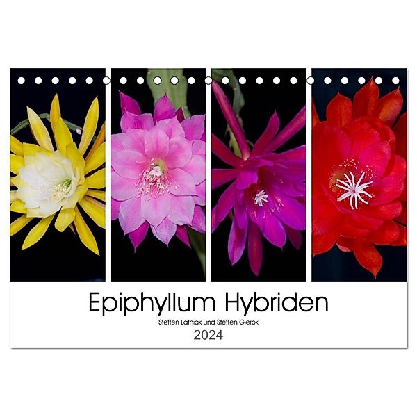 Epiphyllum-Hybriden (Tischkalender 2024 DIN A5 quer), CALVENDO Monatskalender, Steffen Latniak, Steffen Gierok