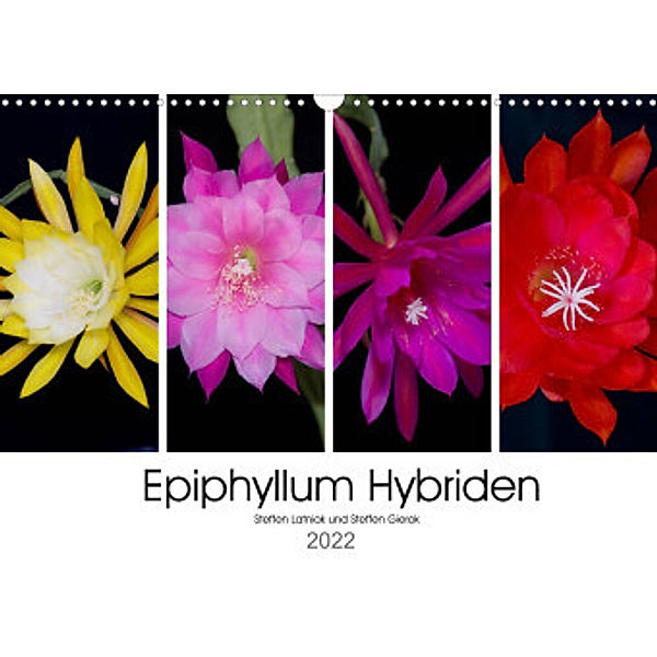Epiphyllum-Hybriden (Wandkalender 2022 DIN A3 quer), Steffen Latniak, Steffen Gierok