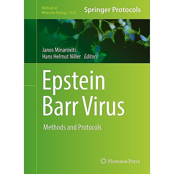 Epstein Barr Virus / Methods in Molecular Biology Bd.1532