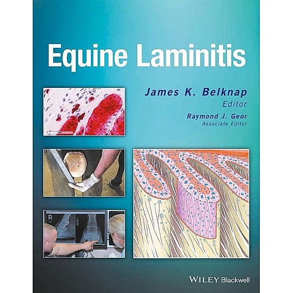 Equine Laminitis