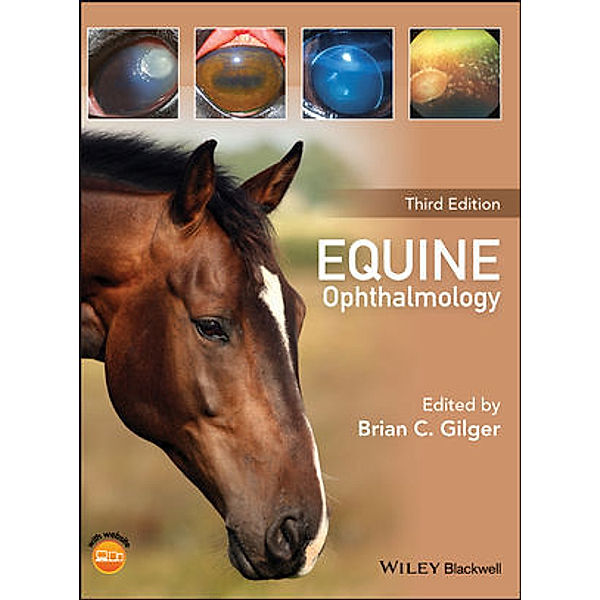 Equine Ophthalmology