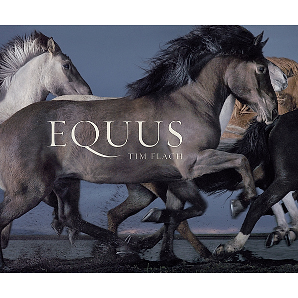 Equus (Mini), Tim Flach