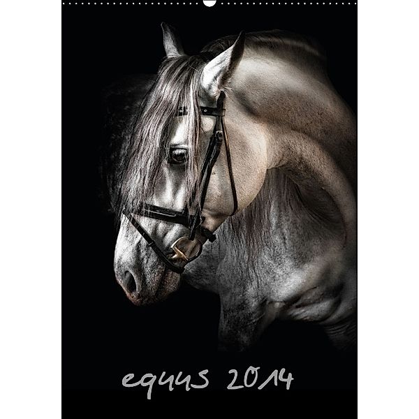 equus. (Wandkalender 2014 DIN A2 hoch), René de Brunn
