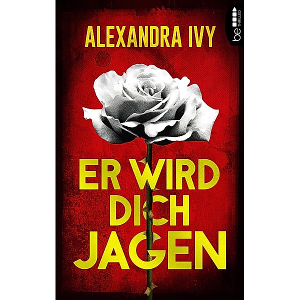 Er wird dich jagen / Romantic-Thriller-Reihe Bd.2, Alexandra Ivy