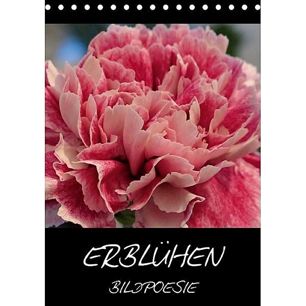 Erblühen - Bildpoesie (Tischkalender immerwährend DIN A5 hoch), Sandra Rapp