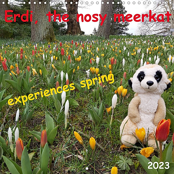 Erdi, the nosy meerkat, experiences spring (Wall Calendar 2023 300 × 300 mm Square), Susan Michel