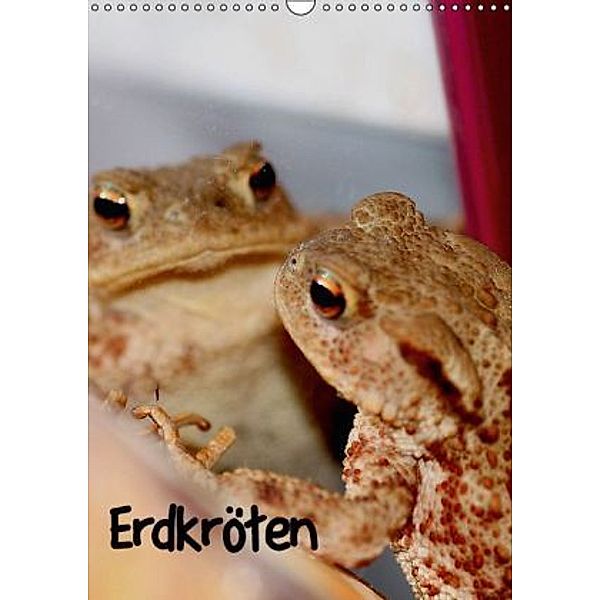 Erdkröten (Wandkalender 2016 DIN A3 hoch), LoRo-Artwork