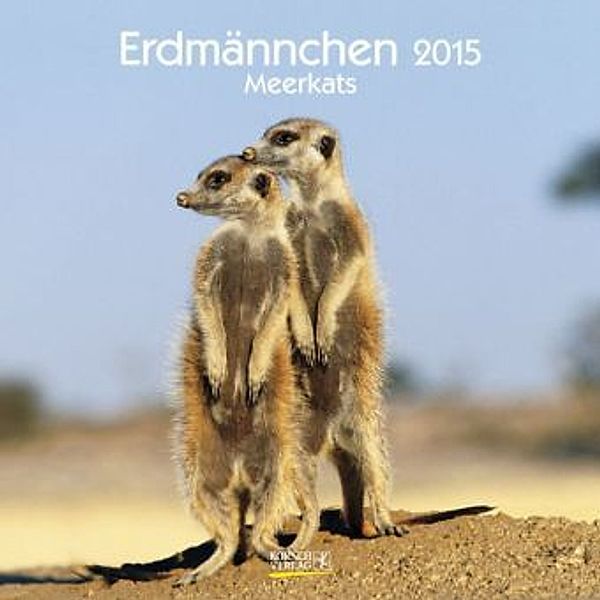 Erdmännchen 2015