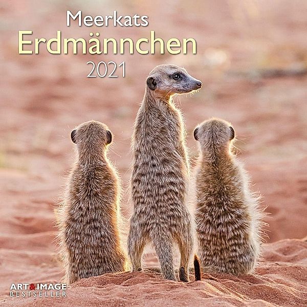 Erdmännchen 2021