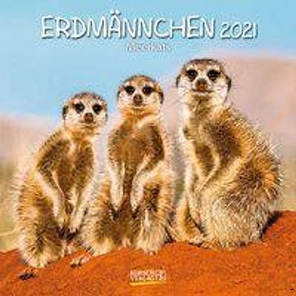 Erdmännchen 2021