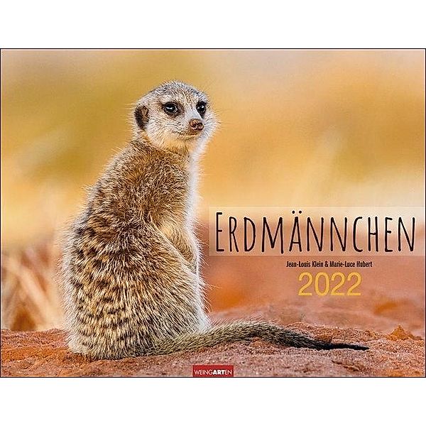 Erdmännchen 2022