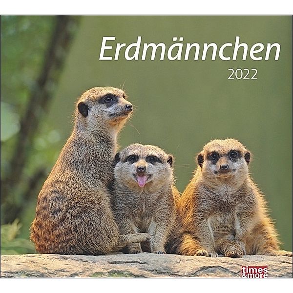 Erdmännchen 2022