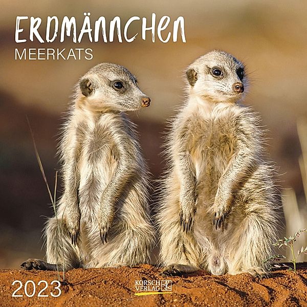 Erdmännchen 2023