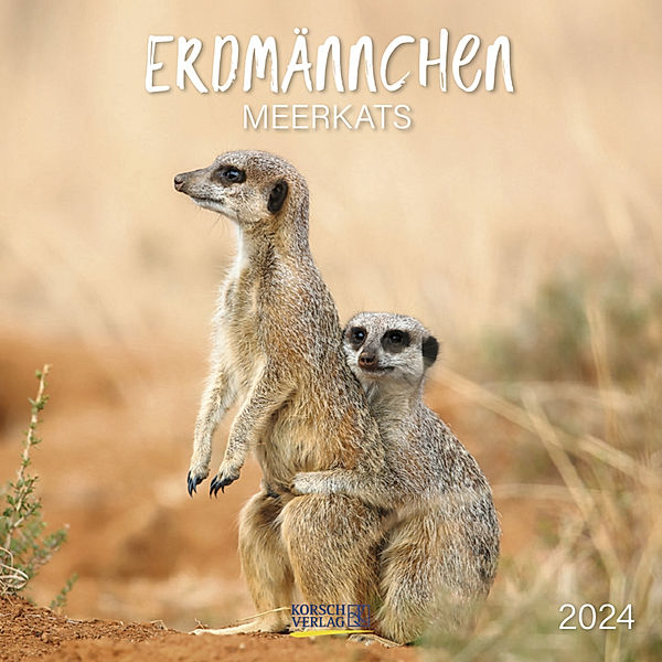 Erdmännchen 2024