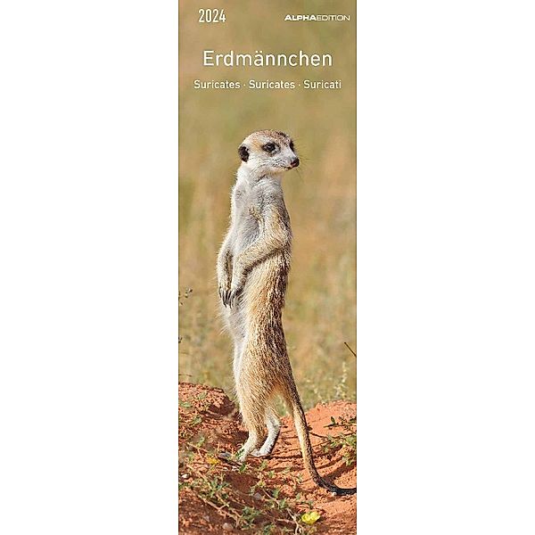 Erdmännchen 2024 - Lesezeichenkalender 5,5x16,5 cm - Suricates - Tierkalender - Lesehilfe - Alpha Edition