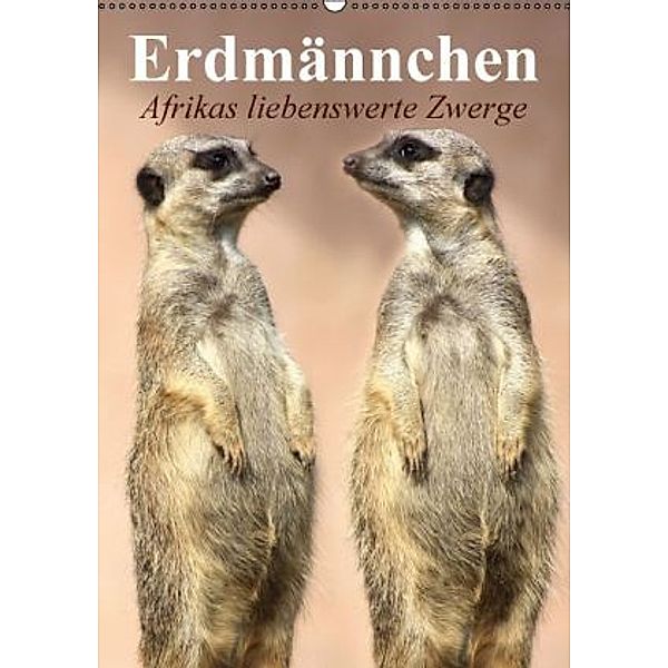 Erdmännchen Afrikas liebenswerte Zwerge (Wandkalender 2015 DIN A2 hoch), Elisabeth Stanzer