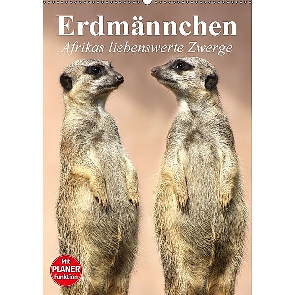 Erdmännchen - Afrikas liebenswerte Zwerge (Wandkalender 2018 DIN A2 hoch), Elisabeth Stanzer