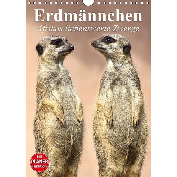 Erdmännchen - Afrikas liebenswerte Zwerge (Wandkalender 2018 DIN A4 hoch), Elisabeth Stanzer