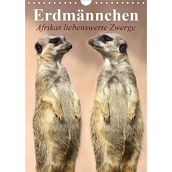 Erdmännchen - Afrikas liebenswerte Zwerge (Wandkalender 2021 DIN A4 hoch), Elisabeth Stanzer