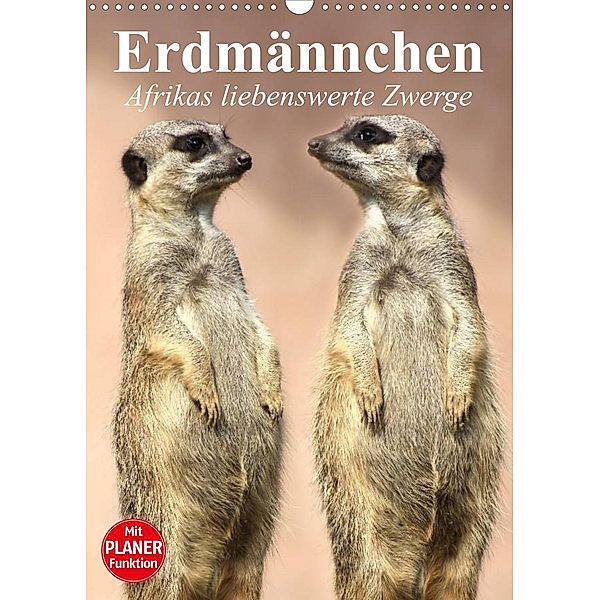 Erdmännchen - Afrikas liebenswerte Zwerge (Wandkalender 2023 DIN A3 hoch), Elisabeth Stanzer