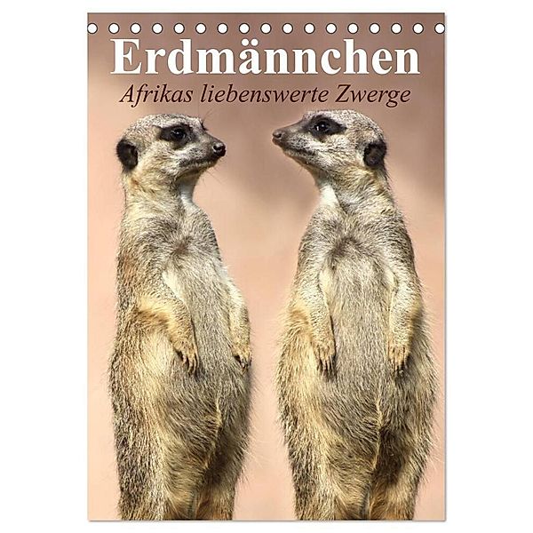 Erdmännchen - Afrikas liebenswerte Zwerge (Tischkalender 2024 DIN A5 hoch), CALVENDO Monatskalender, Elisabeth Stanzer